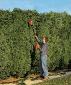 BLACK+DECKER LPHT120B 20V MAX Lithium-Ion 18 in. Cordless Pole Hedge Trimmer (Tool Only) -Cheap Black & Decker Store bdknlpht120b b